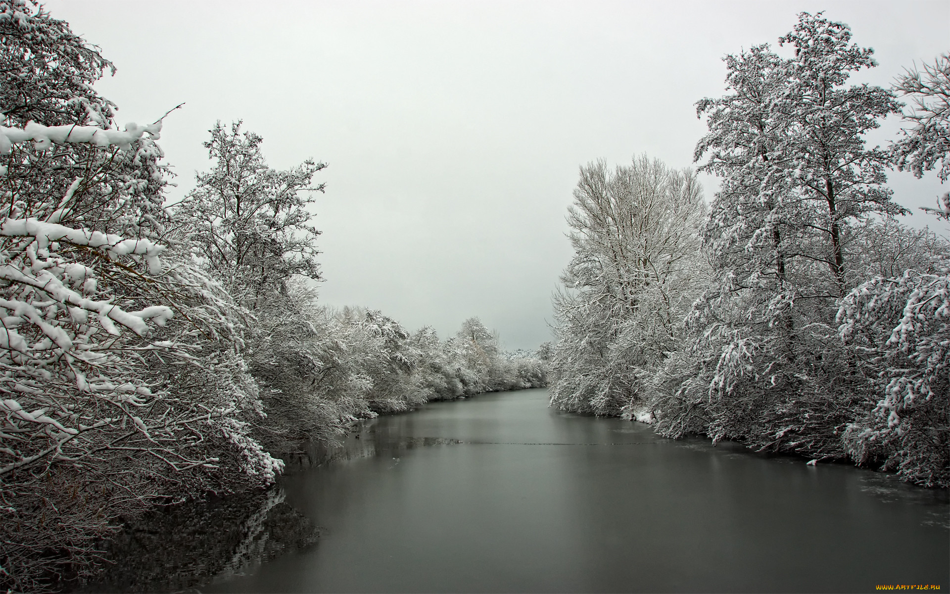 Блэк зима. Реки снежной (Сноуи-Ривер, snowy River) в бассейн рек Муррей и Маррамбиджи. Зима река деревья. Заснеженная река. Зима река лес иней.